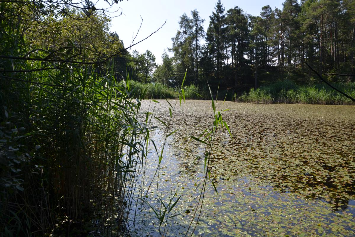 Partschonerhof 17.07.2023